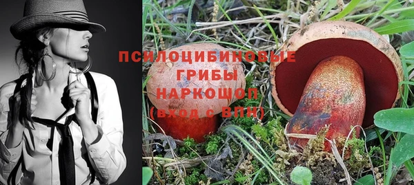 спайс Лагань