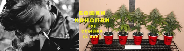 мдпв Липки