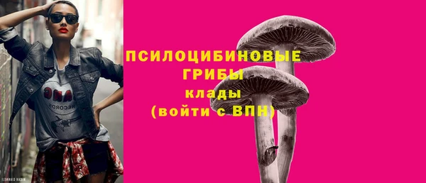 первитин Лабытнанги