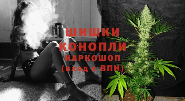 спайс Лагань