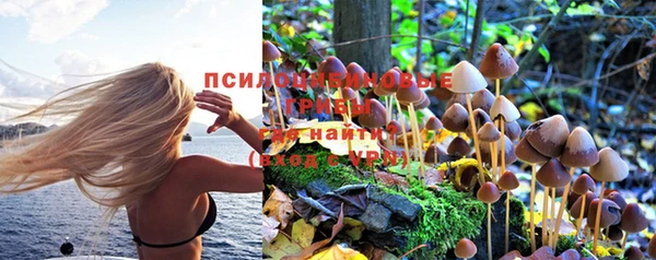 стаф Лиски